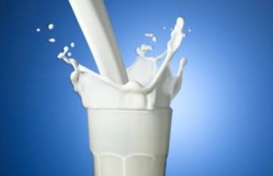 kesehatan susu