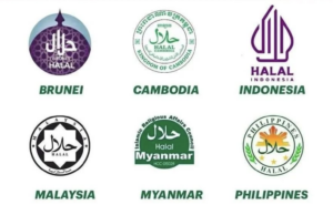 Felix Siauw Sindir Logo Halal Indonesia yang Berbeda Sendiri di Asia Tenggara