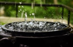 BMKG Minta Warga Tampung Air Hujan Guna Antisipasi Kemarau Panjang