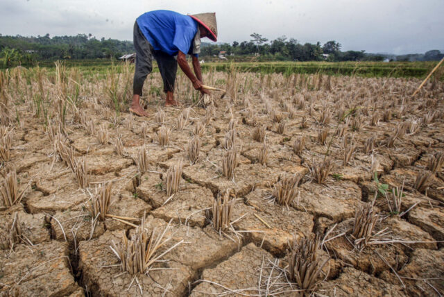 Masuki Musim Kemarau, 15 Wilayah Indonesia Ini Terdampak El Nino