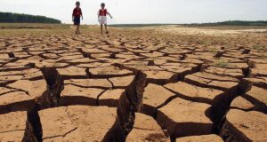 Puncak El Nino Diprediksi Terjadi Bulan Agustus