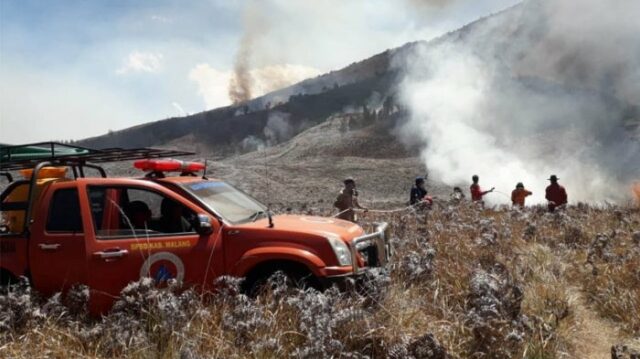 Bukit Teletubbies Gunung Bromo Kebakaran Akibat Prewedding Nyalakan Suar